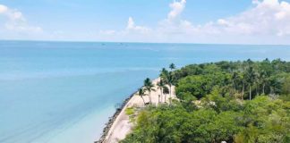 Las mejores playas de Key Biscayne