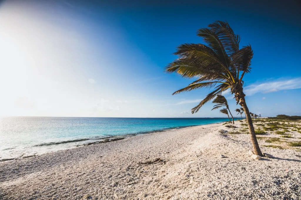 Pink Beach, Bonaire