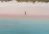 Las 13 Playas de Arena Rosa Más Hermosas del Mundo Las 13 playas de arena rosa más hermosas del mundo