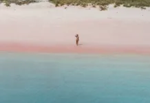 Las 13 Playas de Arena Rosa Más Hermosas del Mundo Las 13 playas de arena rosa más hermosas del mundo